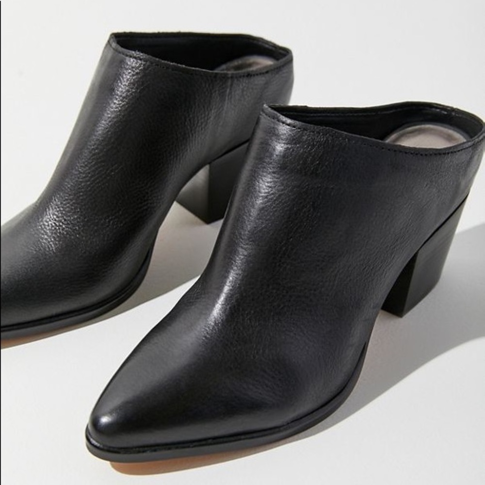 Solve Vita Roya Mule